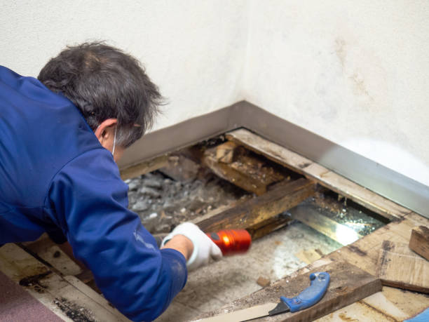 Best Mold Testing and Inspection Services in Stockton, CA